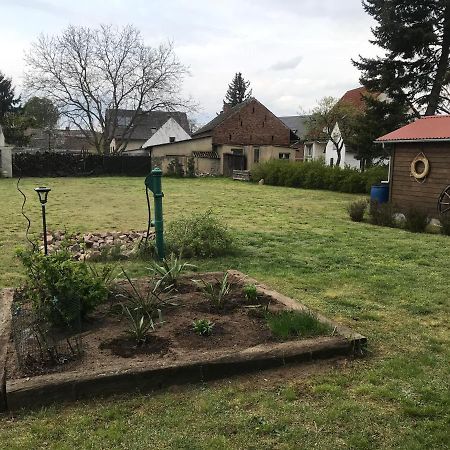 Ferienhaus Leo Boblitz Dış mekan fotoğraf